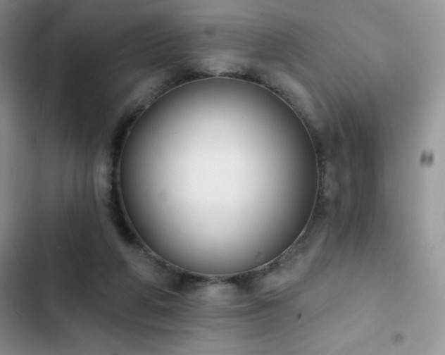 X0000102870210200808181514