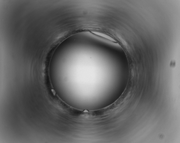 X0000102870211200808181514