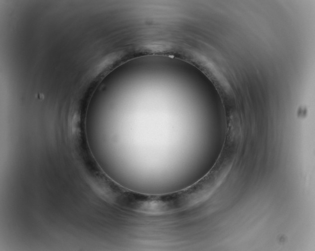 X0000102870212200808181514