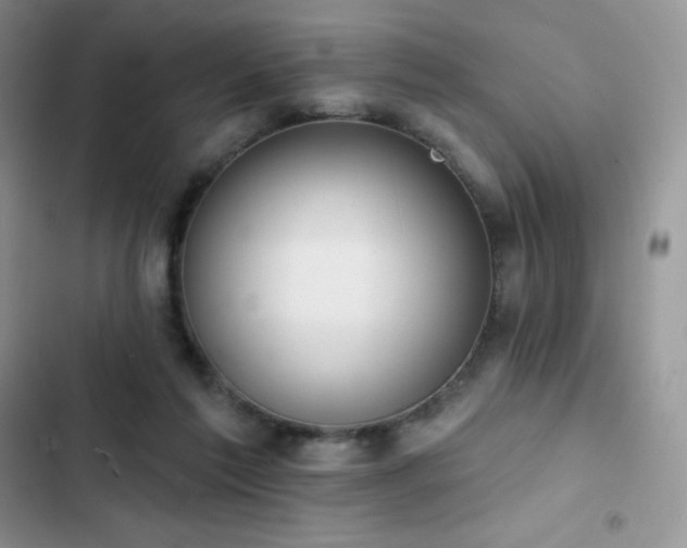 X0000102870213200808181514