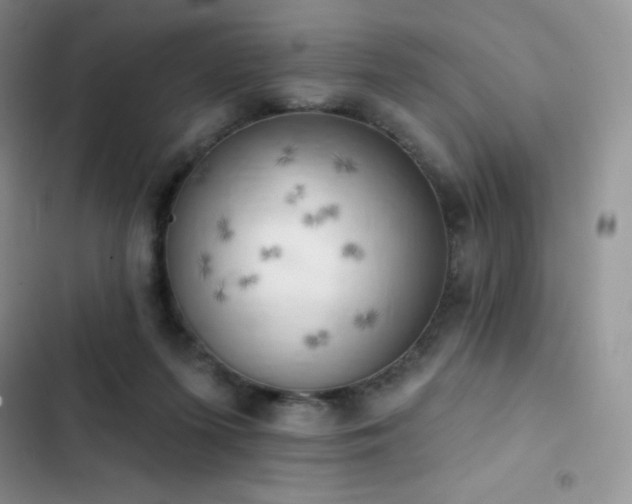 X0000102870215200808181514
