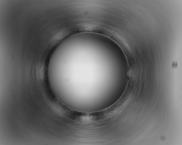 X0000102870216200808181514