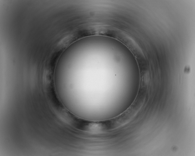 X0000102870218200808181514