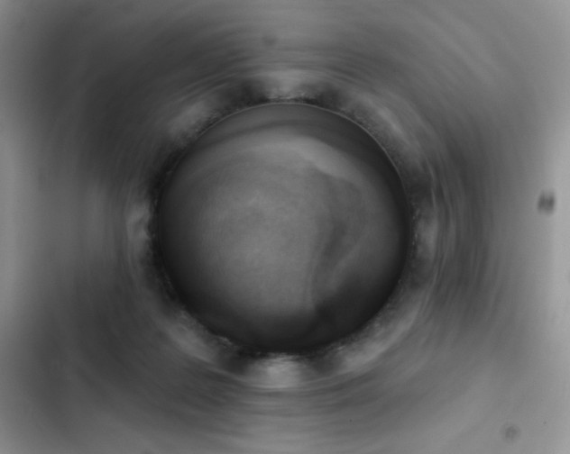 X0000102870219200808181514