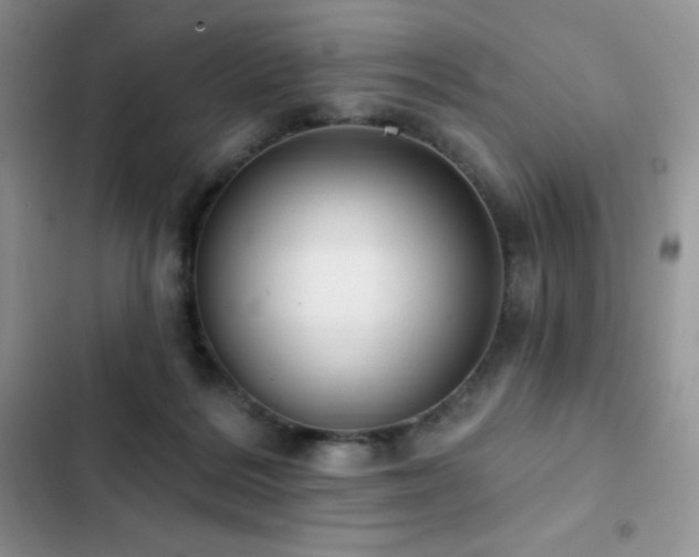 X0000102870220200808181513