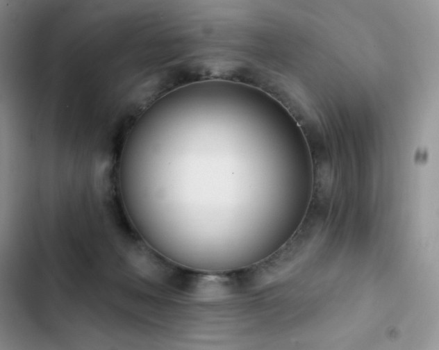 X0000102870222200808181513