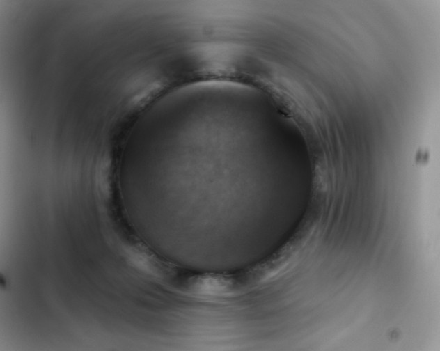 X0000102870223200808181513