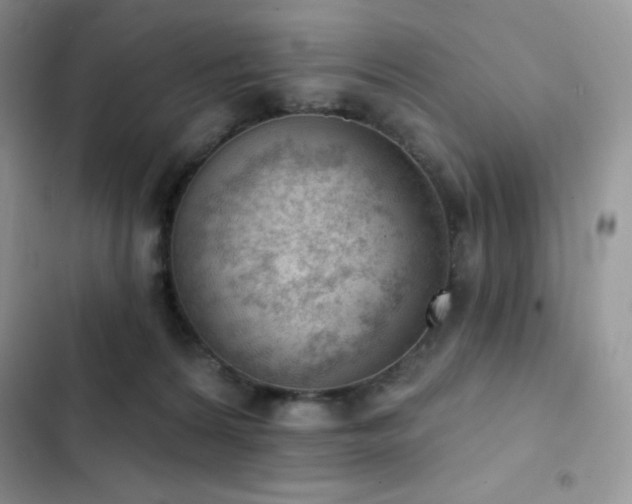 X0000102870224200808181513