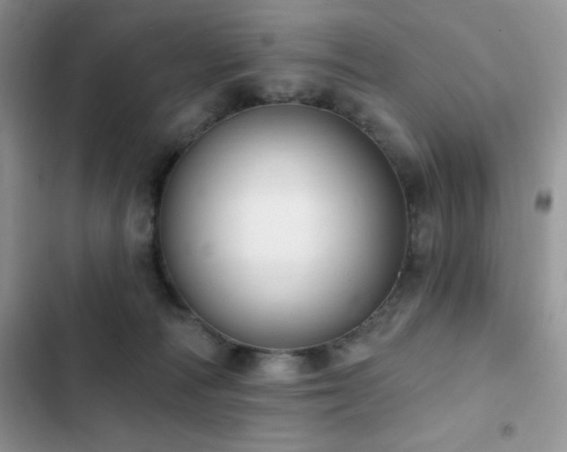 X0000102870226200808181513
