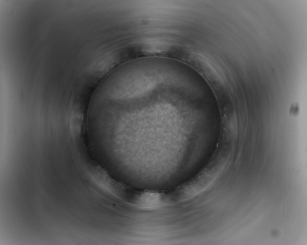 X0000102870227200808181513