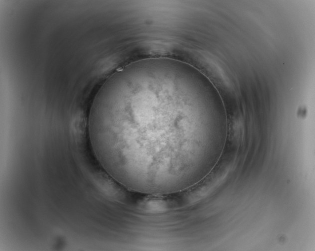X0000102870228200808181513