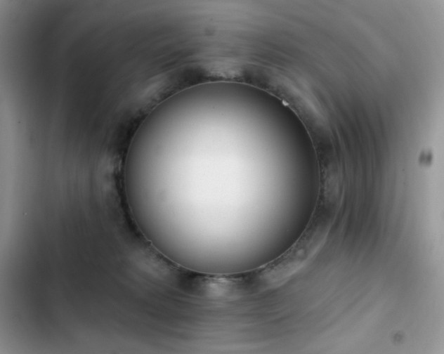X0000102870229200808181513