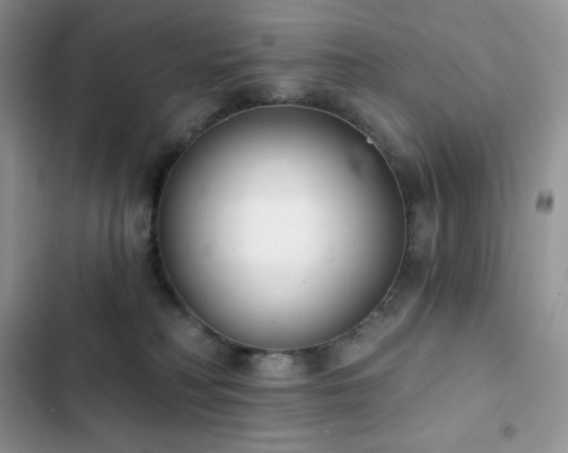 X0000102870230200808181513