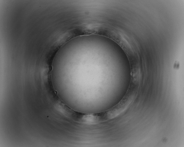 X0000102870231200808181513