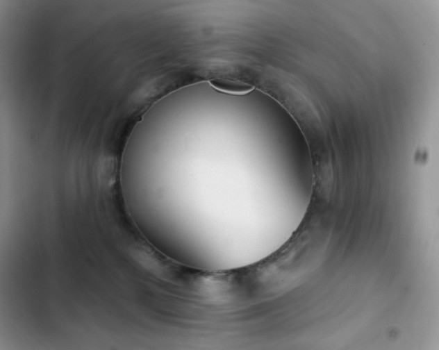 X0000102870232200808181513
