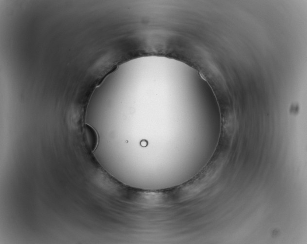 X0000102870233200808181513
