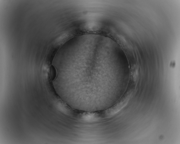 X0000102870235200808181513