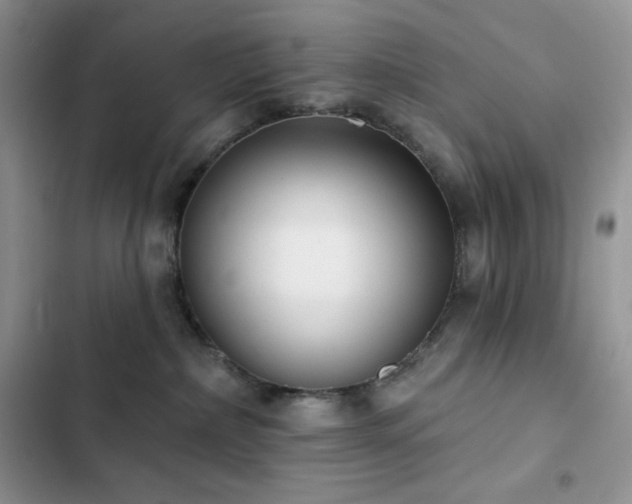 X0000102870236200808181513