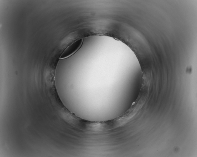 X0000102870237200808181513