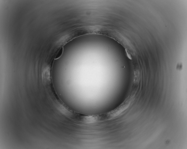 X0000102870238200808181513