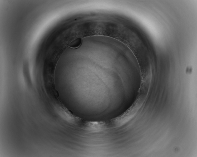X0000102870239200808181513