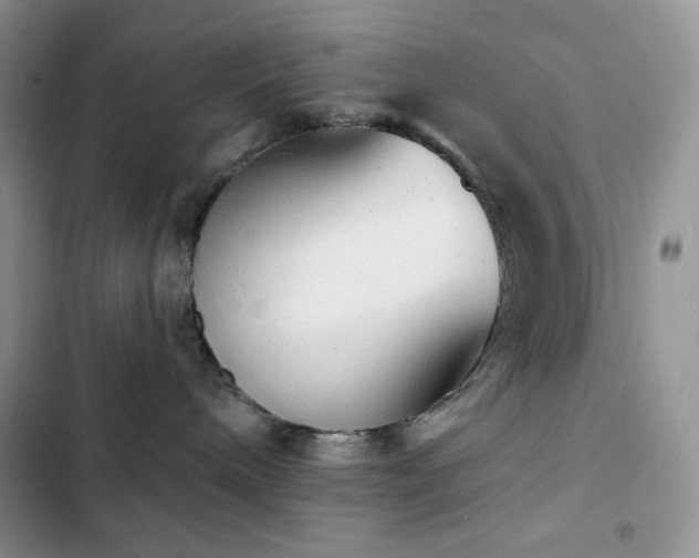 X0000102870240200808181513