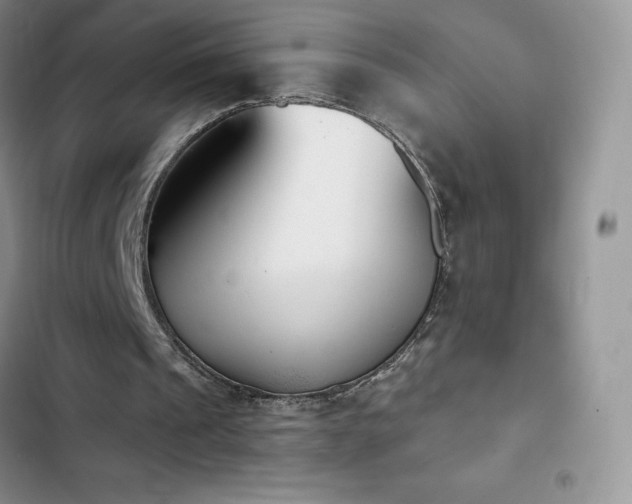 X0000102870241200808181513