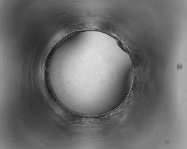 X0000102870242200808181513