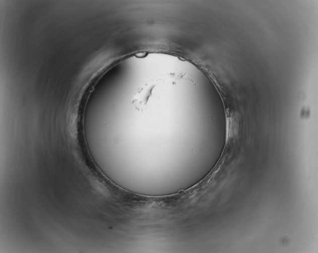X0000102870243200808181513