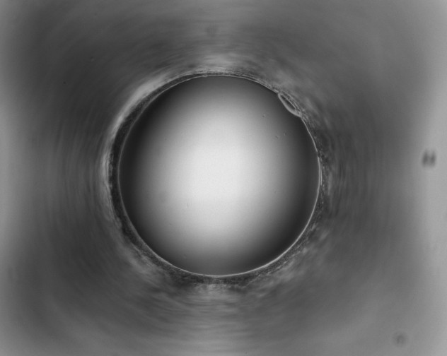 X0000102870244200808181513