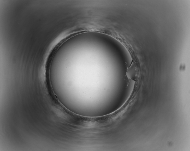 X0000102870246200808181513