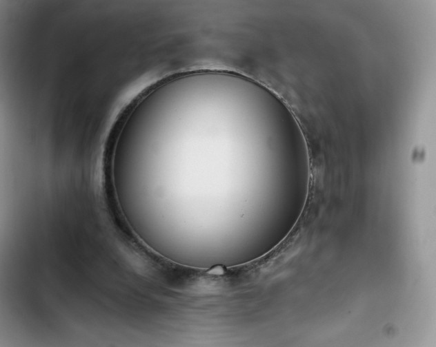 X0000102870248200808181513