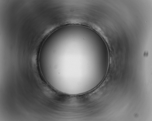 X0000102870249200808181513