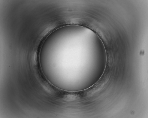 X0000102870251200808181513