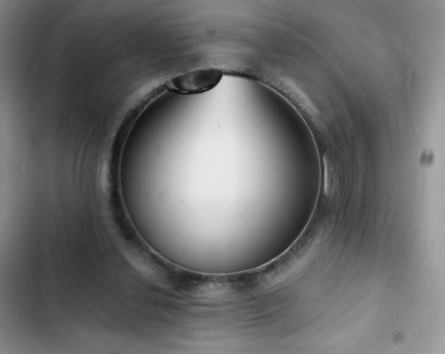 X0000102870252200808181513