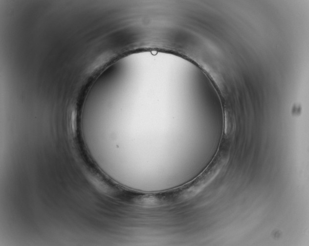 X0000102870253200808181513