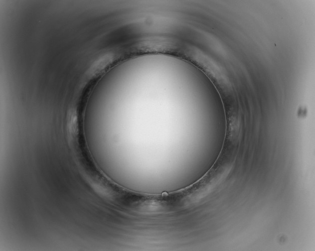 X0000102870254200808181513