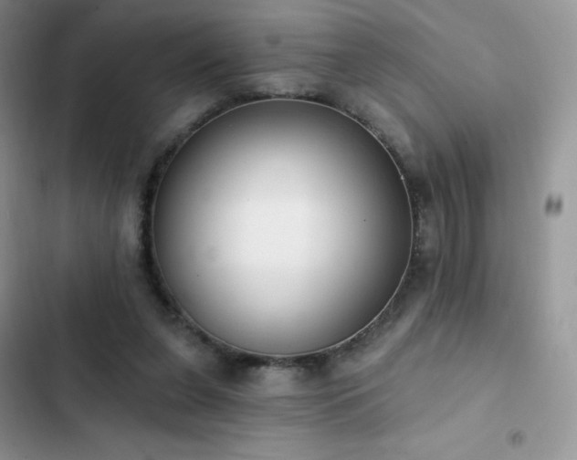 X0000102870255200808181513