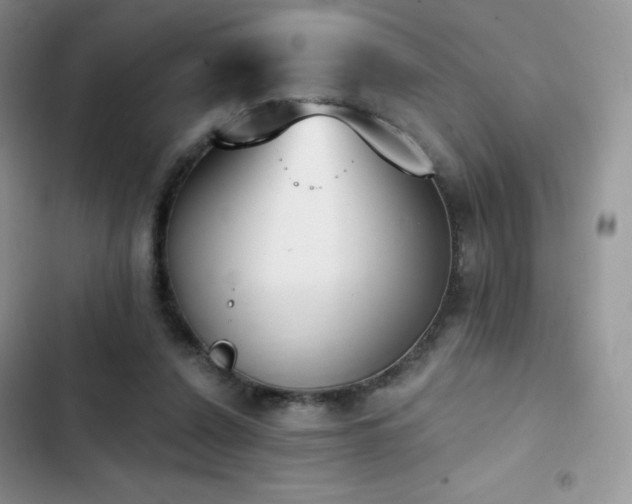X0000102870256200808181513
