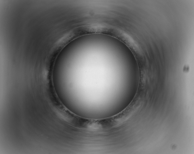 X0000102870258200808181513
