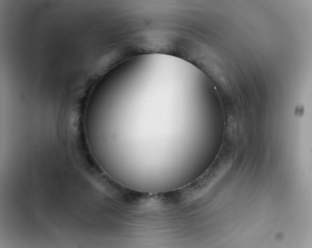 X0000102870259200808181513