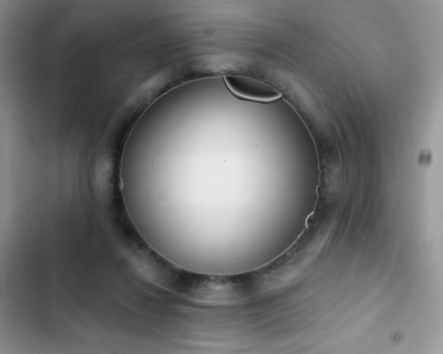 X0000102870260200808181513