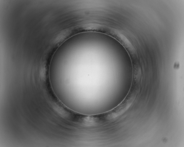 X0000102870261200808181513