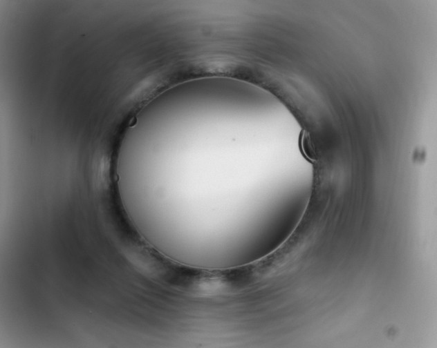 X0000102870262200808181513