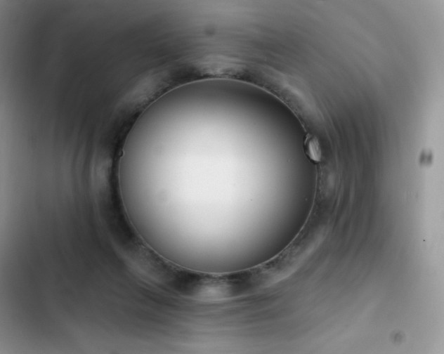 X0000102870263200808181513