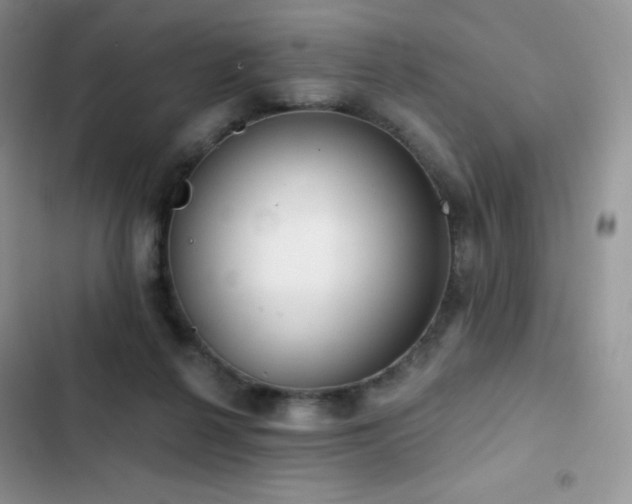 X0000102870264200808181513