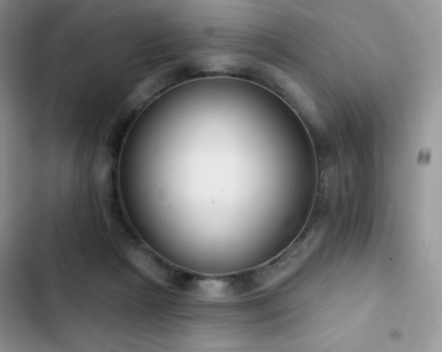 X0000102870265200808181513