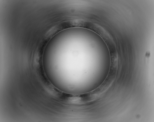 X0000102870266200808181513