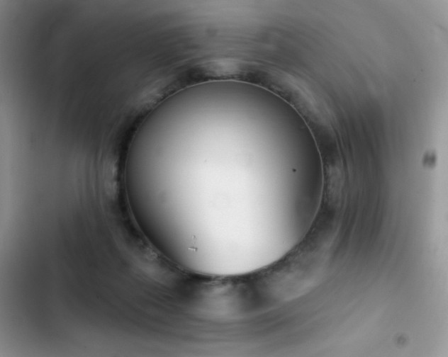 X0000102870267200808181513