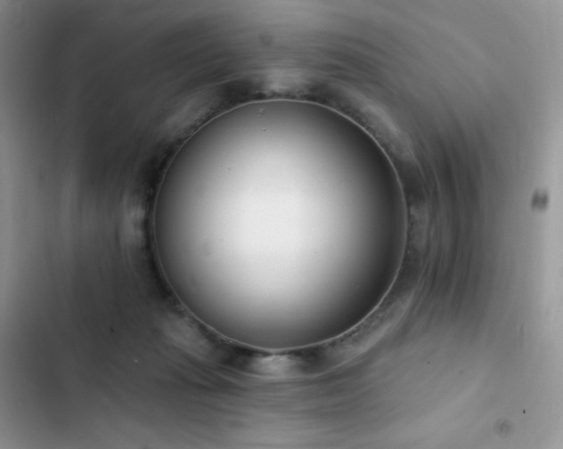 X0000102870269200808181513